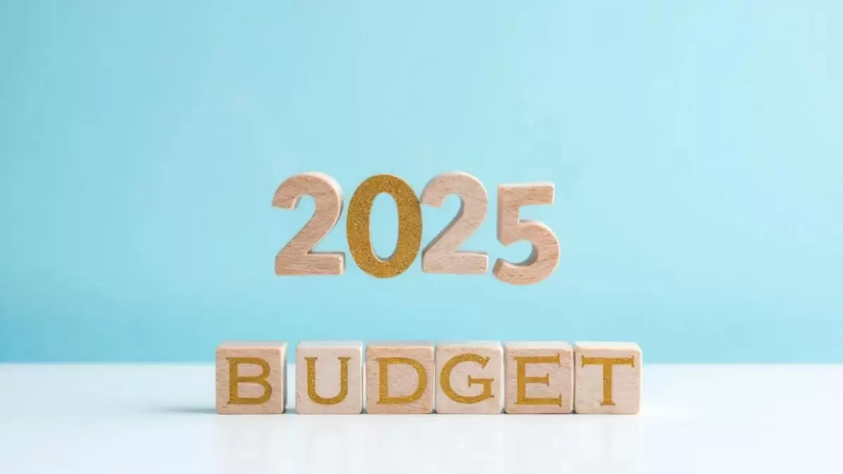 Union Budget 2025 Quotes by Industry Experts