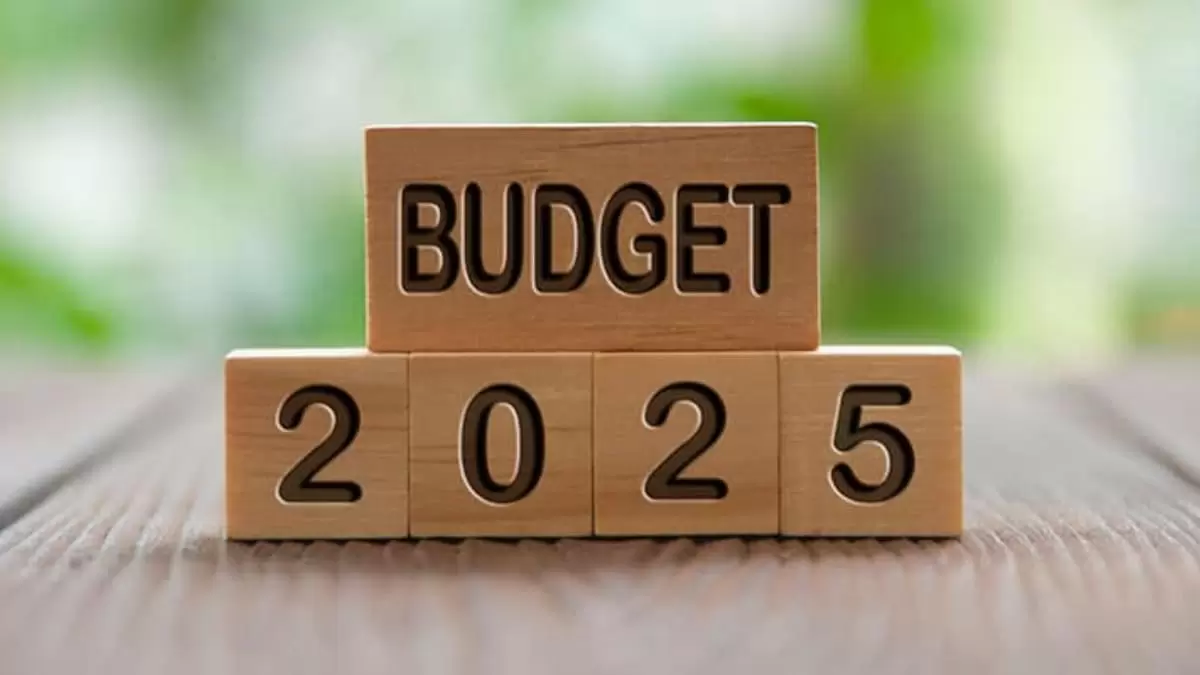 Budget 2025 reactions, what Industry Experts have to say